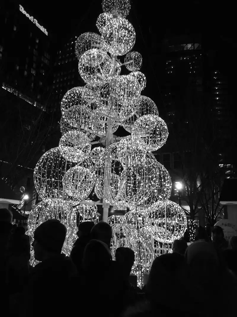 Silhouettes on Light Up Night