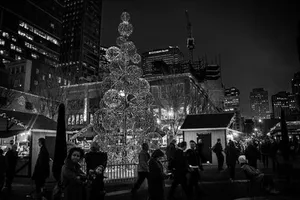 Shot of the tree and skating rink